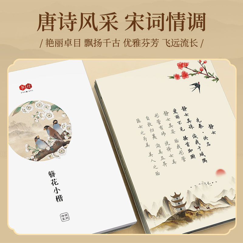 ヘアピンフラワー小彩歌謡書の書道コピーブック、硬ペン書道練習 - Chinese Calligraphy Practice Book のレビューと価格